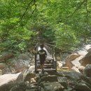 설악산파크 이미지