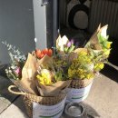 연진약국 | 2025 08 | ౨ৎ⋆ 호주 시드니 여행 기록 DAY 3 ⋆౨ৎ