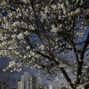 자연과 하루 이미지