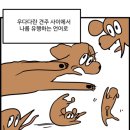 우다다 이미지