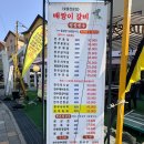 평창 알펜시아 맛집 배짱이 갈비, 고기 맛에 진심인 곳 1++ 한우 후기
