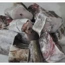 산수고원 이미지