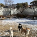 놀러오개 - 안양시 만안구 경수대로 1234 | 놀러오개