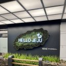 제주도 일주일 살았던 여행일기