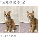 전리단길 이미지