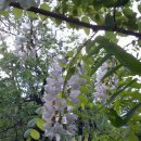 당곡고등학교 이미지