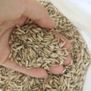 건강한 잡곡 알찬 유기농귀리쌀 판매완료 이미지