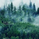 나무랑숲 이미지