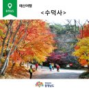 11/10 예산 덕숭산 이미지