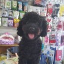 샐리동물병원 이미지