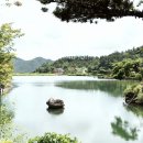 느티골길 이미지