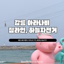 우리 꽃 세밀화 | 강릉 이색 액티비티 아라나비 | 하늘 자전거,짚라인 가격과 웨이팅, 탑승 후기