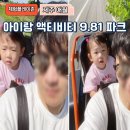 981 | 제주 애월 액티비티 981파크 아이랑 카트 할인 후기