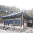 대복사 동종 이미지