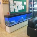 아쿠아트 이미지