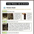 명품참숯 이미지