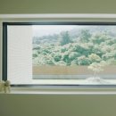 담담채 이미지