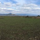 가파초등학교 병설유치원 이미지