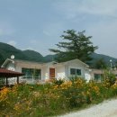 하얀집펜션 이미지