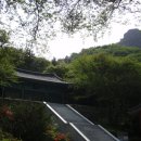 해오름길 이미지