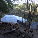 하늘아래첫농장 이미지