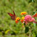 수석행정사사무소 이미지