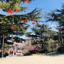 신도빌딩 | 군산항 산동크루즈 중국 5A급 국가관광지 화하성 풍경구 &amp; 세계적 버라이어티쇼 화하쇼 장보고 법화원...