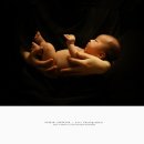 유신애 카카오 검색결과