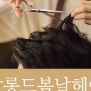 봄날헤어 이미지