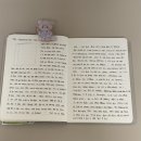 소설 | 영화 <파반느> 원작 소설 <죽은 왕녀를 위한 파반느> 비교, 영화 소설 후기