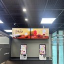 매머드익스프레스삼육대
