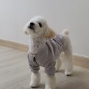 윤S공방 이미지