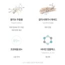 비메드 네이버블로그