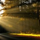 수도119군포점 이미지