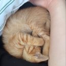 포인