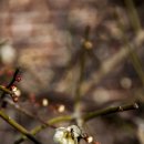 금호동주민자치센터 이미지