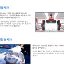 대한세차 이미지