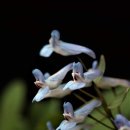 백재호 카카오 검색결과