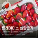 이마트24R명지국제신도시점 | 명지 트레이더스 딸기 9천원대? 가성비 최고 설향딸기 솔직후기