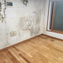 벽지 곰팡이제거 정찰제 단열시공 방법