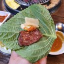 삼백육백 이미지