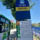 국립광주박물관 티스토리