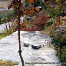 별이네집 이미지