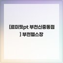 르미핏 이미지