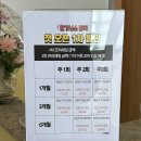 폴리너스폴댄스 이미지