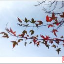 영성공원 이미지