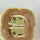 부산 강아지 24시 애견미용호텔유치원 도그드림(서면점) 이미지