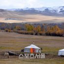 초원주유소 이미지