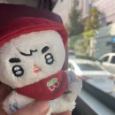 [SEVENTEEN] “음악의 신” 엠카 공방 사녹 다녀온 후기(미니 콘서트 같았던 파주 CJENM 스튜디오)
