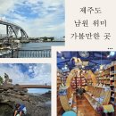 씨유 서귀위미동백점 | 제주 동쪽 여행, 위미 맛집 카페 가볼만한곳 리스트